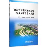 正版新书]黄河下游堤防淤筑工程安全保障理论与实践沈细中978751