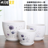 三维工匠花盆陶瓷家用大号塑料创意多肉植物小花盆带托盘批发客厅 含羞草花盆3件 大花盆容器