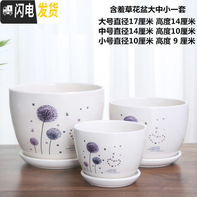 三维工匠花盆陶瓷家用大号塑料创意多肉植物小花盆带托盘批发客厅 含羞草花盆3件 大花盆容器