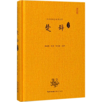 音像楚辞译注评孙家顺,孔军,吴文沫 注译
