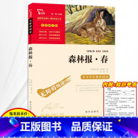 [正版]3本24元 森林报春彩插励志版 中小学生名著导读 小学生四年级六年级下册课外必读图书老师儿童阅读书籍读物无障碍