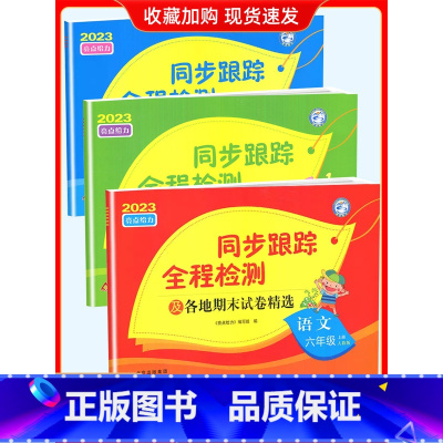 6上[语文+数学+英语](3本江苏专用) 小学通用 [正版]2024春亮点给力同步跟踪全程检测及各地期末试卷精选一二 三