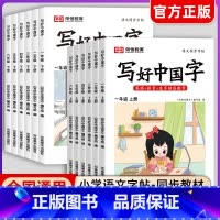 写好中国字[上册] 小学一年级 [正版]抖音同款荣恒小学生写好中国字正楷临摹儿童硬笔楷书一二年级三四上下册同步练字帖课课