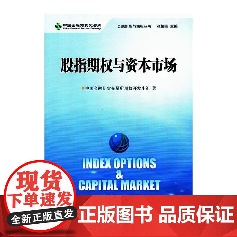 股指期权与资本市场