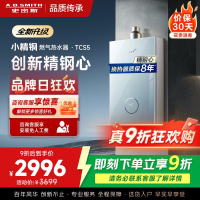 史密斯佳尼特[小精钢TCS5]16升精钢燃气热水器 国家补贴 JSQ31-TCS5 安全守护 持久恒温大水量 新品