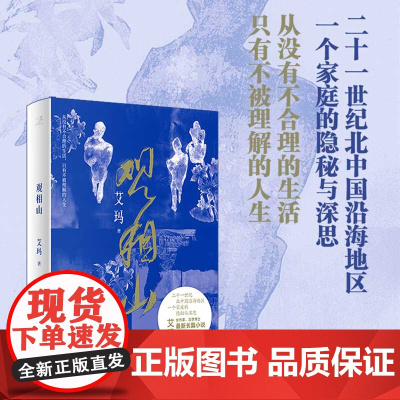 观相山 艾玛全新长篇小说 林白、张炜、李洱赞赏 从没有不合理的生活 只有不被理解的人生 中国当代小说 长江文艺出版社