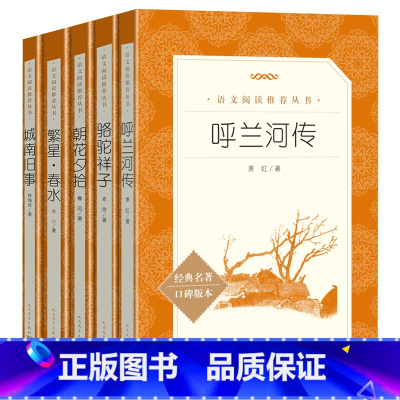 五年级课外书5册 [正版]儒林外史 俗世奇人冯骥才 小兵张嘎 呼兰河传 骆驼祥子原著老舍 人民文学出版社 老师五年级下册