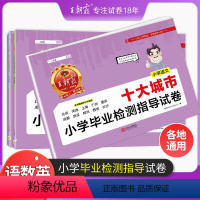 语文数学英语3本套装 小学通用 [正版]小升初城市卷十大城市小学毕业检测指导卷真题小学升初中招生考试语文数学英语六年级毕
