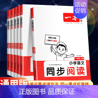 语文默写+数学计算[人教2册] 二年级下 [正版]2024秋版小学语文同步阅读一二年级三年级四五六年级上册下册同步拓展阅