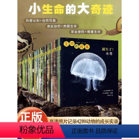 [联系客服优惠]生命的故事 第1-4辑 共42册 [正版]全5册博物大发现 我的1000位昆虫朋友 1200余幅可爱大片