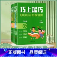 巧上加巧小学数学分级培优 小学二年级 [正版]2024新版小学二三四五六年级数学同步培优书籍 巧上加巧 小学数学分级培优