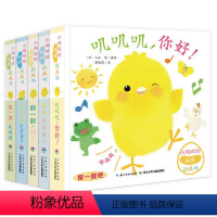 小鸡球球触感玩具书:全5册 [正版]点读版小鸡球球触感玩具书全5册0-3岁婴幼儿亲子游戏纸板书叽叽叽你好立体触摸发声洞洞