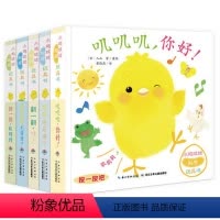 小鸡球球触感玩具书:全5册 [正版]点读版小鸡球球触感玩具书全5册0-3岁婴幼儿亲子游戏纸板书叽叽叽你好立体触摸发声洞洞