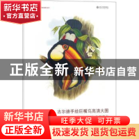 正版 古尔德手绘巨嘴鸟高清大图:装裱册页与临摹范本 (英)约翰·