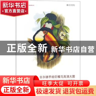 正版 古尔德手绘巨嘴鸟高清大图:装裱册页与临摹范本 (英)约翰·