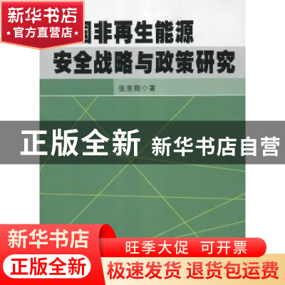 正版 中国非再生能源安全战略与政策研究 张意翔著 湖北人民出版
