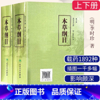 [正版]本草纲目 原版全套李时珍校点本中医古籍未删减版徐文兵黄帝内经神农本草经伤寒论汤头歌人民卫生出版社中医名著中草药