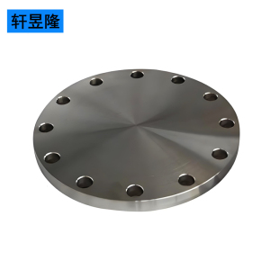 轩昱隆预埋钢板 外径419mm*厚20mm/块