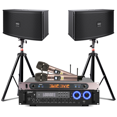 爱浪(AvliGHT)MK60-10家庭家用KTV套装专业K歌音响客厅会议带功放无线话筒