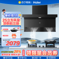 海尔一级能效顶侧双吸油烟机CXW-358-E900C71 25m³/min大吸力钢化玻璃面板触摸控制支持照明功能