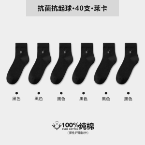 花花公子袜子男士纯棉夏季男款防臭吸汗全棉中筒男袜子商务袜
