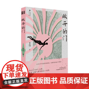 敞开的门 艾伟 著 小说