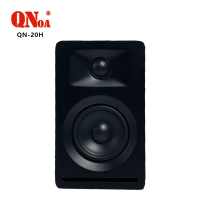 启诺QN-20H 桌面有源蓝牙音箱 导播室演播厅会议监听音箱 黑色 台