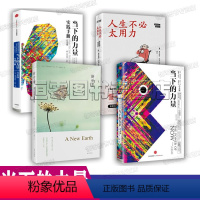 [正版]当下的力量埃克哈特托利作品4册全套 当下的力量实践手册 新世界灵性的觉醒 人生不必太用力 心灵与修养成成功励志