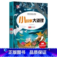 单册 [正版]太阳鸟经典大阅读小故事大道理注音彩绘版书原著小学版一二三年级课外阅读书籍必读世界名著儿童读物6-7-8岁以