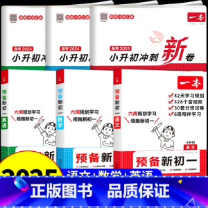 [全套6册]小升初冲刺新卷+预备新初一(寒假版) [正版]2025小升初冲刺新卷语文数学英语人教版小升初真题卷小学六年级