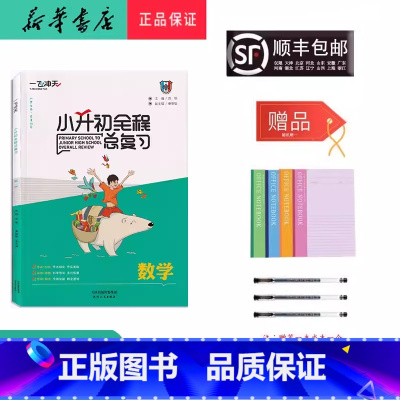 数学 [正版] 2024新版 一飞冲天小升初全程总复习 数学