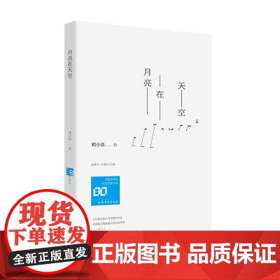 月亮在天空 郑小琼著 孟繁华、张清华主编 山东文艺出版社 正版书籍