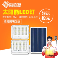 翰卓晶云 太阳能超亮室内外防水大功率LED照明路灯一拖二100W HZ-598S-039