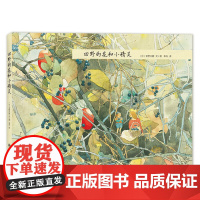 田野的花和小精灵 (日)安野光雅 文图;李丹 译 儿童6-12周岁小学生一二三四五六年级课外阅读经典文学故事书目书籍