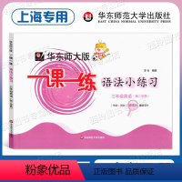 语法小学练习 三年级下 [正版]版华东师大版一课一练语法小练习 三年级下册 小学3年级上海牛津版英语配套教辅 华东师范大