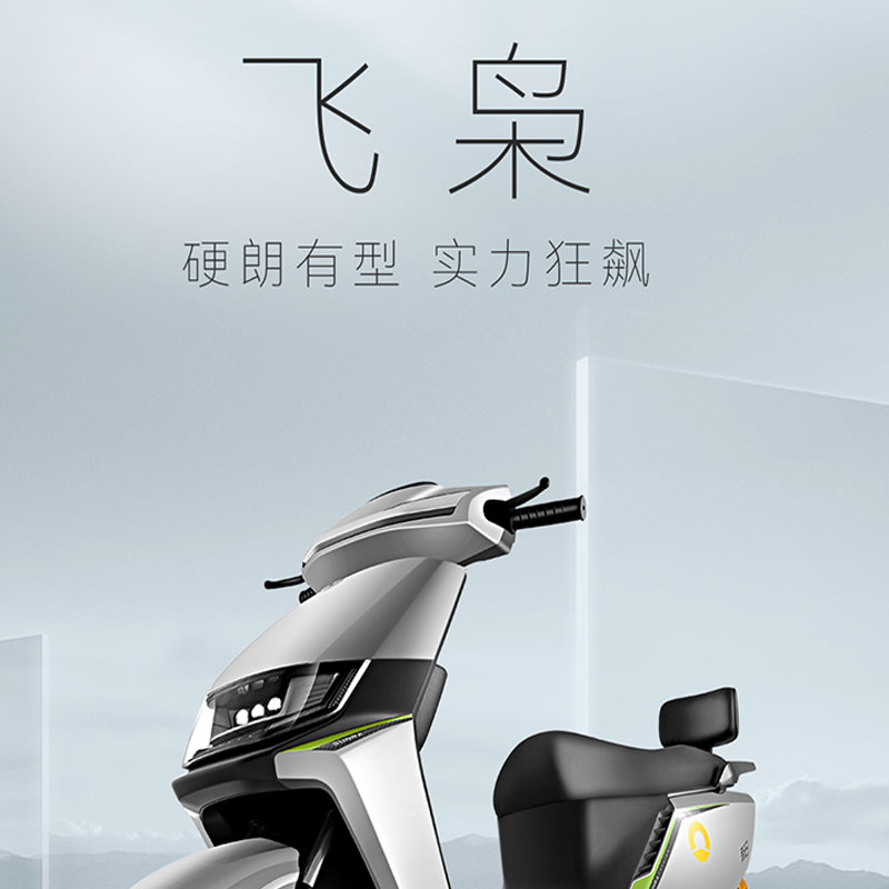 新日 两轮电动摩托车 飞枭 1000W 72V35Ah铅酸 成人通勤