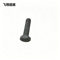 飞翔超越 热镀锌穿钉带帽 16*420mm 根