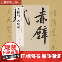 上博经典放大系列 文徵明赤壁赋一 书法碑帖 艺术文化 上海书画出版社