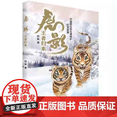 虎影: 王者归来 风范人虎相逢 田梨 三四五六年级小学生课外阅读书籍 儿 童文学书目 8-14岁少儿动物小说2025年暑