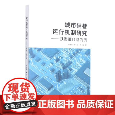 城市硅巷运行机制研究——以秦淮硅巷为例