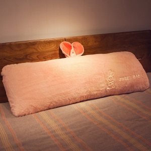 美帮汇枕头单人学生宿舍简约带枕套女孩舒适大靠背床上女生韩式少女