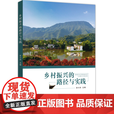 乡村振兴的路径与实践