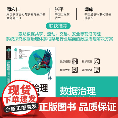 正版新书 数据治理理论方法与实践 张彬 清华大学出版社 数据管理教材
