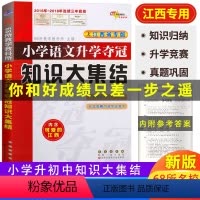 单本全册 [正版]江西小学语文升学夺冠知识大集结全新升级版68所名校小升初毕业同步总复习考试辅导资料工具书 小学一二三四
