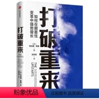 [正版]图书 打破重来:如何在颠覆性变革中强势增长[美]布拉德·斯通9787521721263