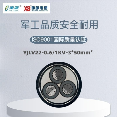 秦源牌 YJLV22-0.6/1KV-3*50mm² 铝芯低压钢带铠装电力电缆 元/米 定制商品 联系客服