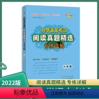 六年级 阅读真题精选 专练详解 小学通用 [正版]小学语文考试古诗词真题精选专练详解小学生1-6年级文言文阅读训练讲解古