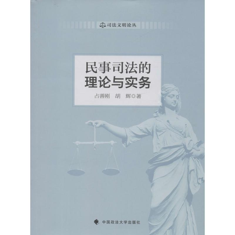 正版新书]民事司法的理论与实务占善刚9787562068914