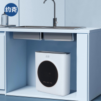 YORK约克100G 家用净水机RO反渗透水器过滤器净水器厨下式 RO滤芯 免费安装YK-RO-100(A)