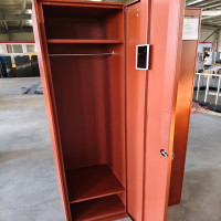 鑫欣韵 钢制木纹转印两门衣柜 加厚钢板 2000*1000*600mm 组